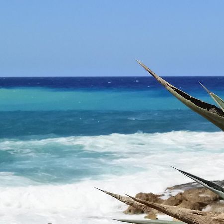 Kissonerga Beach Apartment Paphos Buitenkant foto
