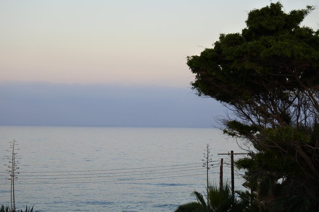 Kissonerga Beach Apartment Paphos Buitenkant foto
