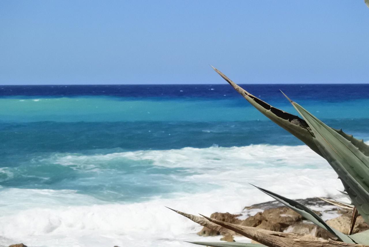 Kissonerga Beach Apartment Paphos Buitenkant foto